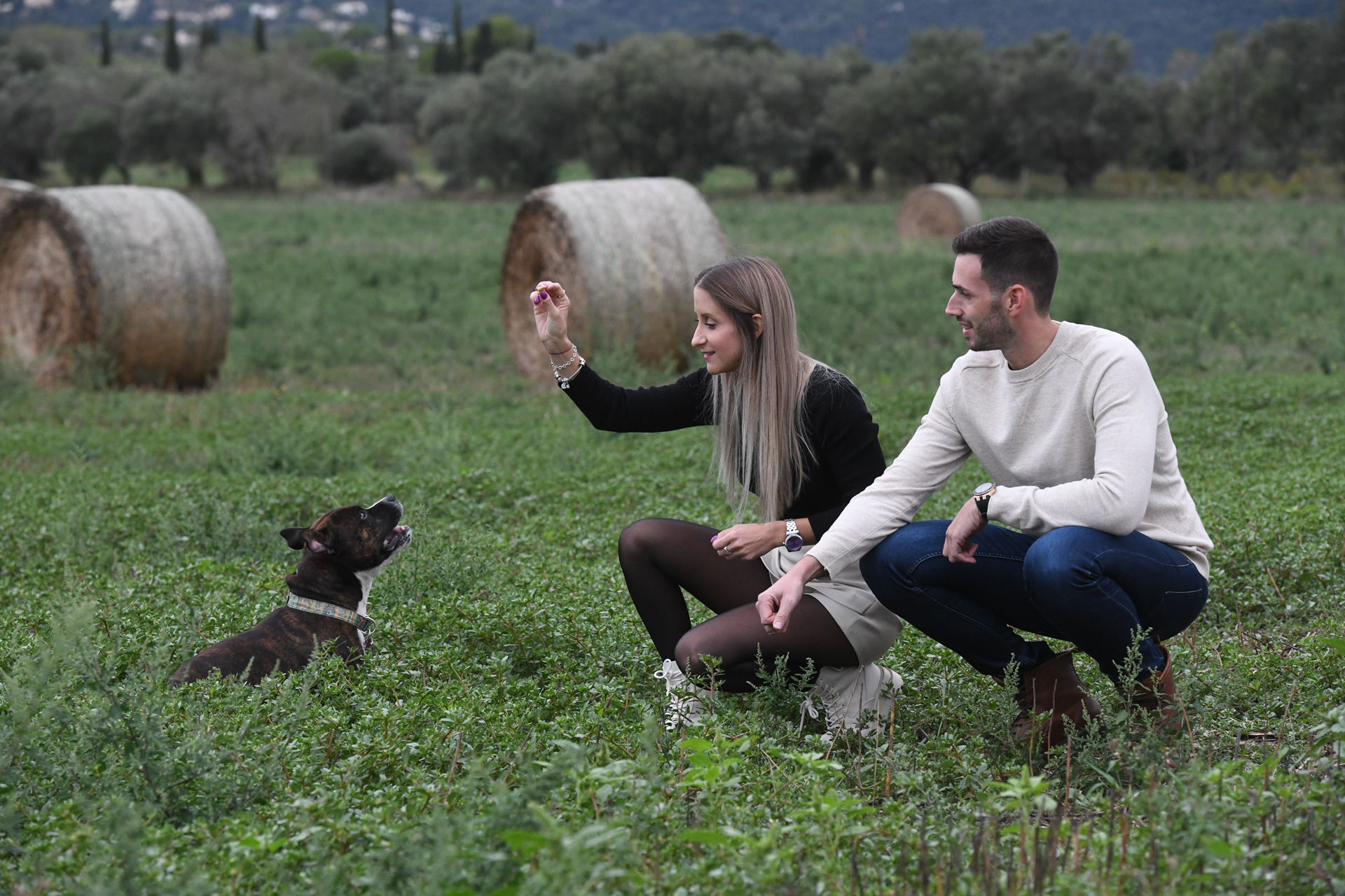 Una pareja jugando en el campo con un perro