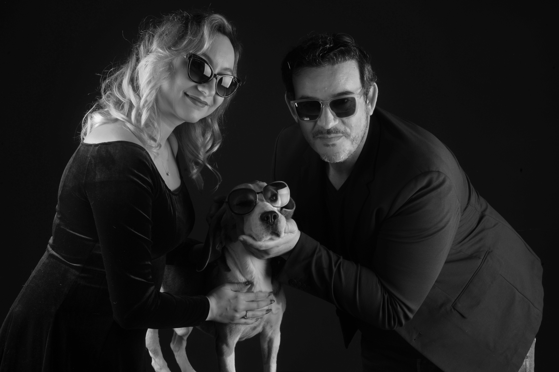 Studio photography with dogs. Black and white